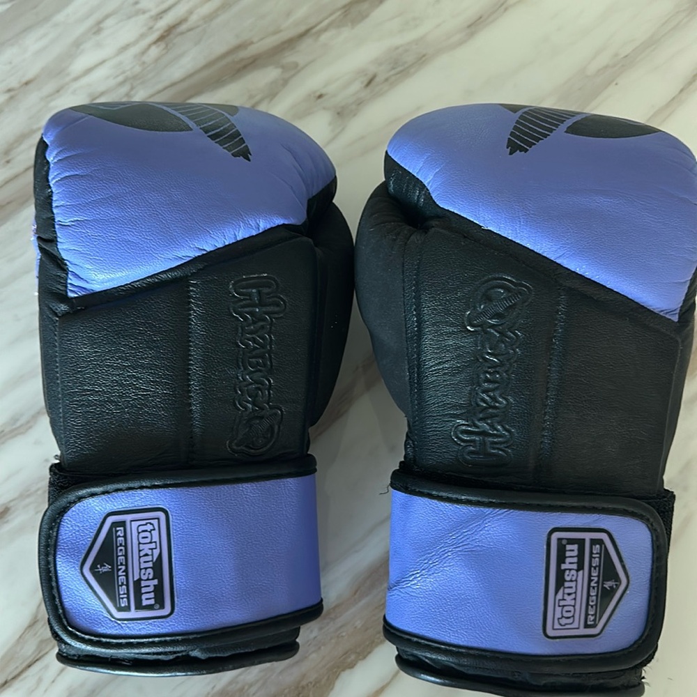 Tokushu Boxing Gloves - image 1